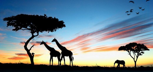 африка авіаквитки