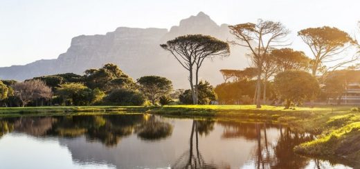 південна африка